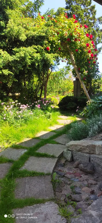 Небольшая дружелюбная студия с патио