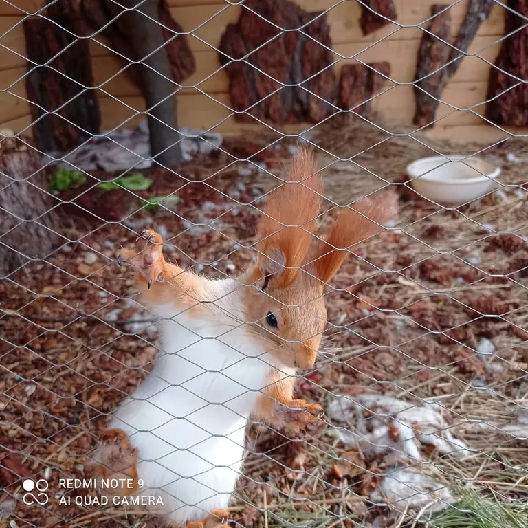 Уютный домик эконом