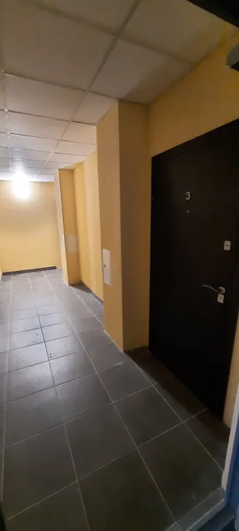 Квартира Квартира Уютная евродвушка — Луга