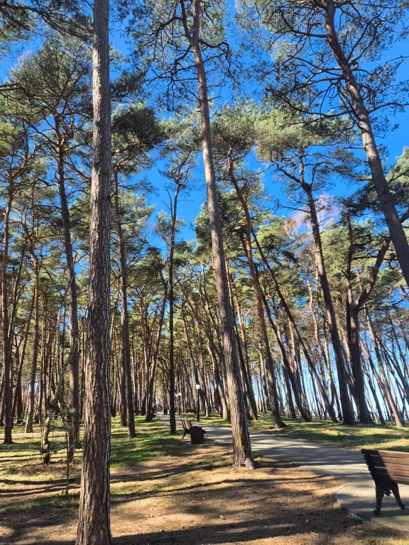 Пионерский курорт уютная новая квартира на побережье Балтийского моря