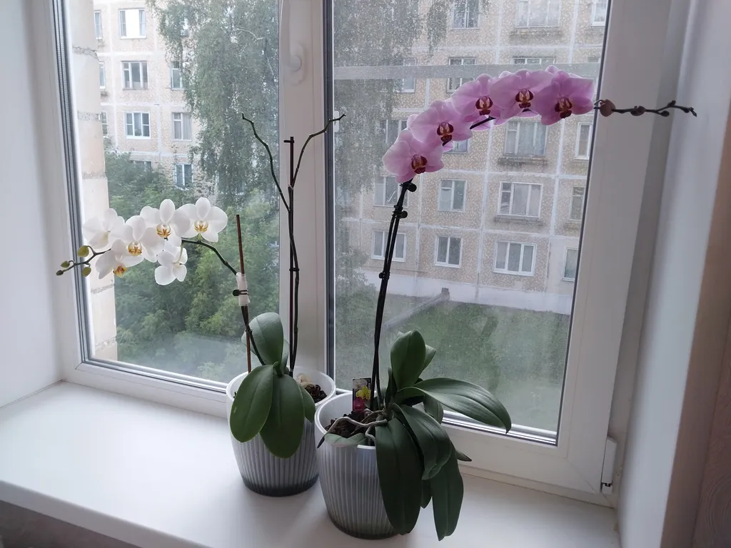 Уют для туриста от России до Греции