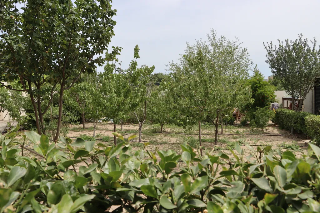 Дача bizim bag в баку/ недалёко от seabreeze