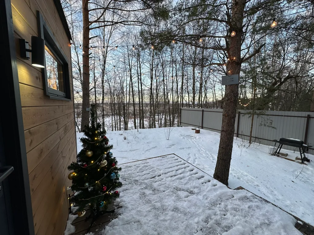 Дом Скандинавия Лес