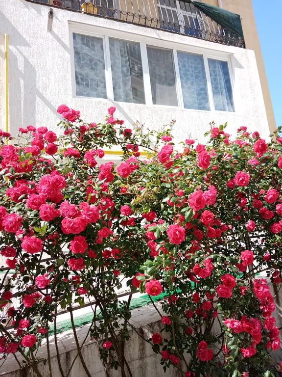 Квартира Квартира у моря — Севастополь