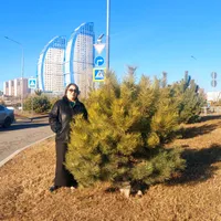 Абильфасовна