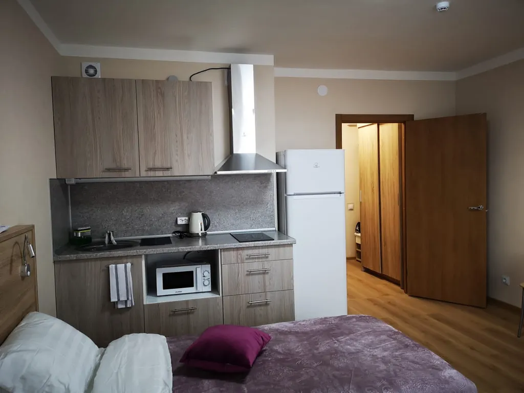 Квартира Уютная квартира рядом с НИИ им. Петрова — Песочный