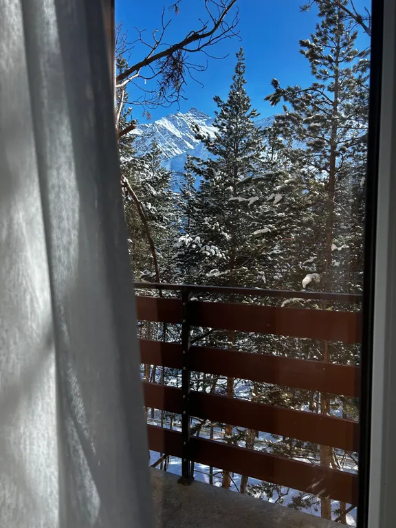 Уютные апартаменты в сосновом лесу