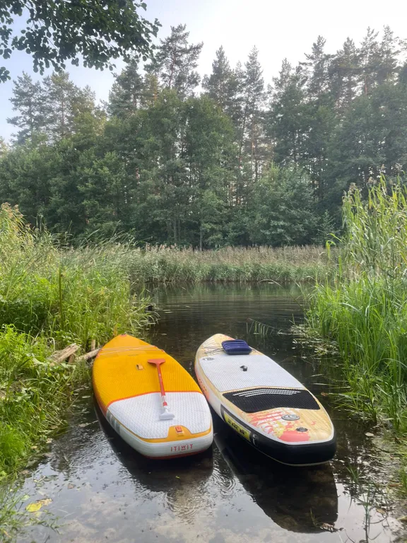 Маленький дом увитый виноградом