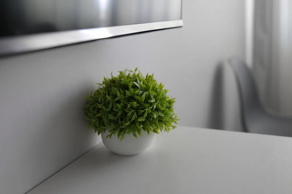 Апартаменты Сканди — идеальное место для отдыха и комфорта