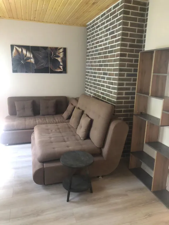 Коттедж Дом рядом с озером — Мичуринское