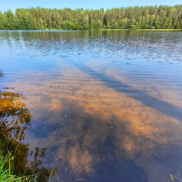 Дом на Селигере