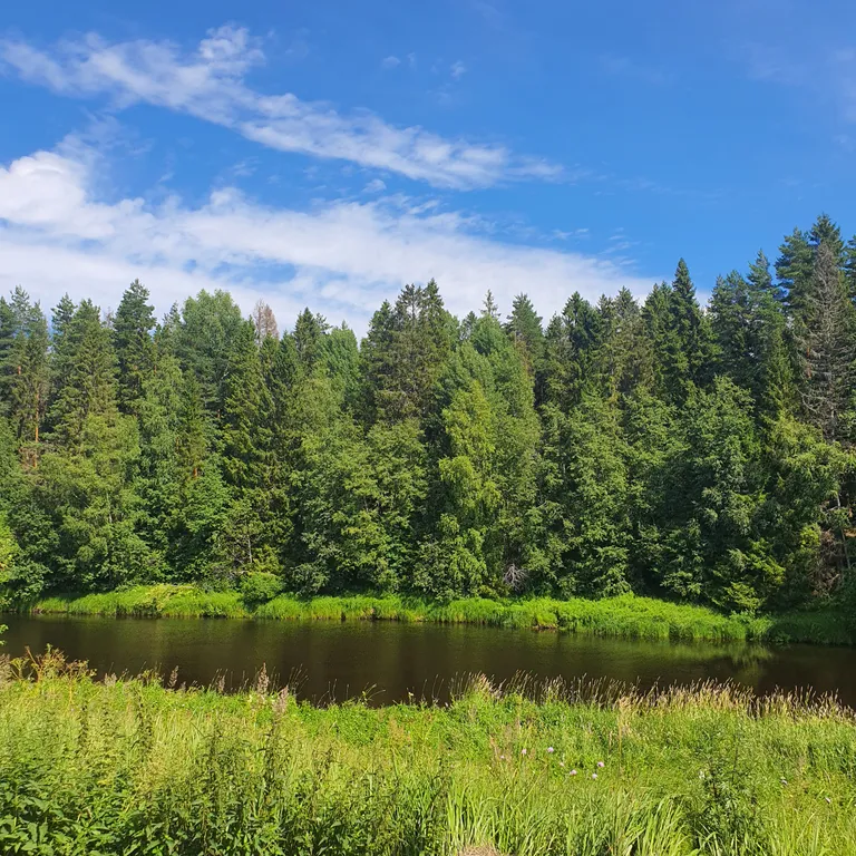 Коттедж 3-комнатный Дом — Верховье