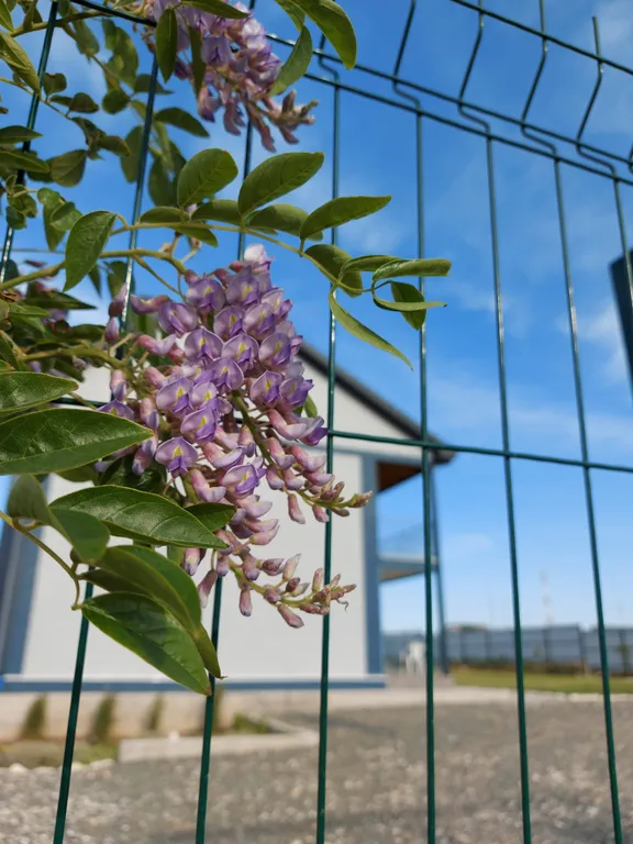 Студия с террасой