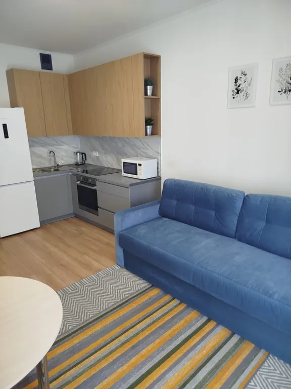 Уютная студия в новом микрорайоне Новая Боровая