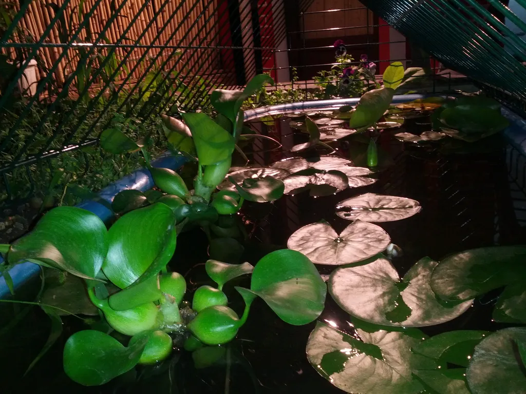 Дом с видом на море и город