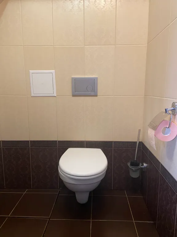 Дом с баней на дровах.