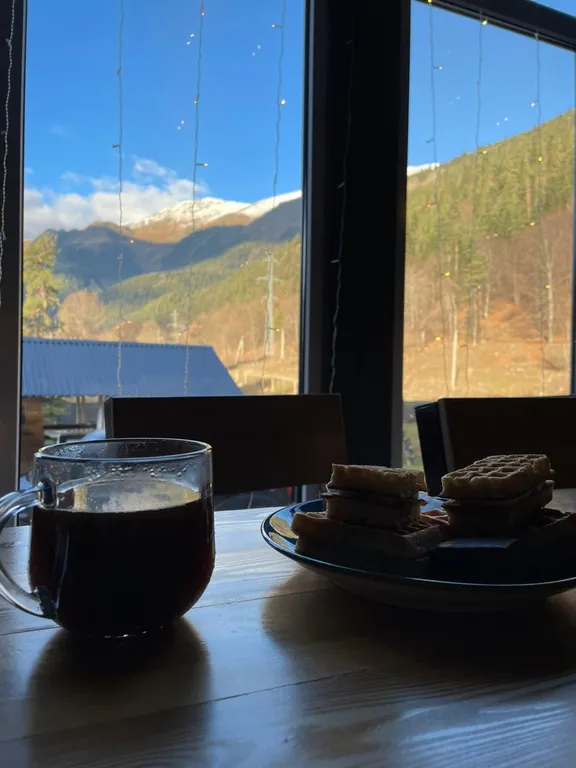 Шале с прекрасным видом на горы и лес