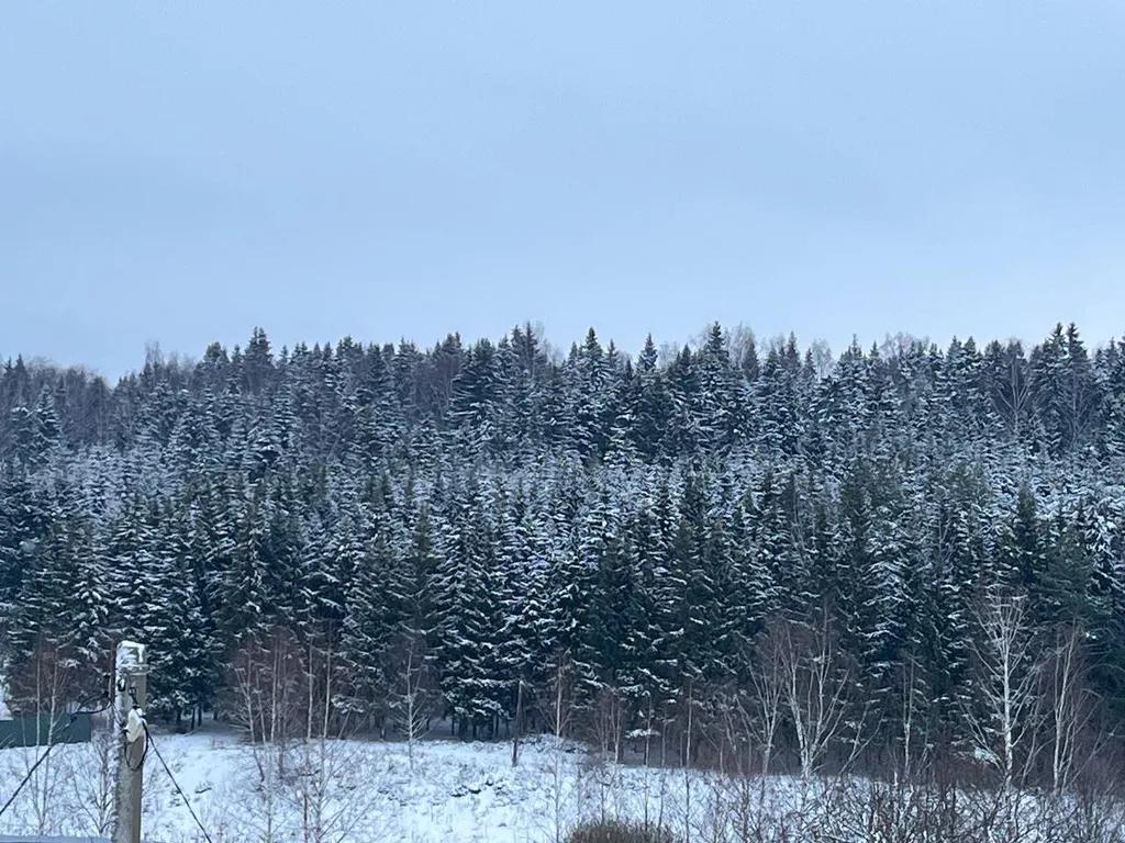 Уютный дом для комфортного отдыха