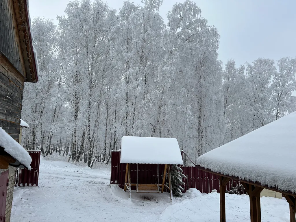 Дом с баней и чаном