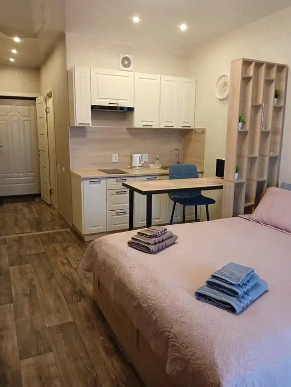 Уютная студия в ЖК Алые паруса с панорамным видом на реку Волхов