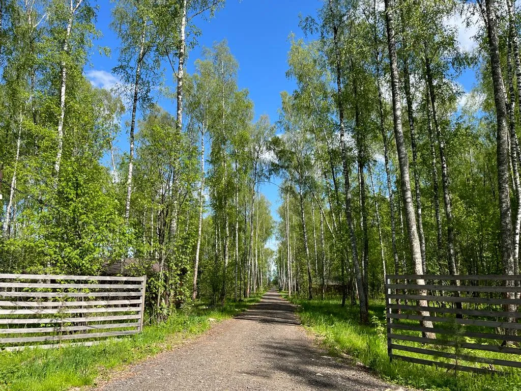 Дом в стиле А-фрейм в Подмосковье