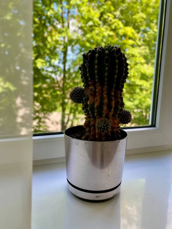 Супер квартира с видом на православный храм