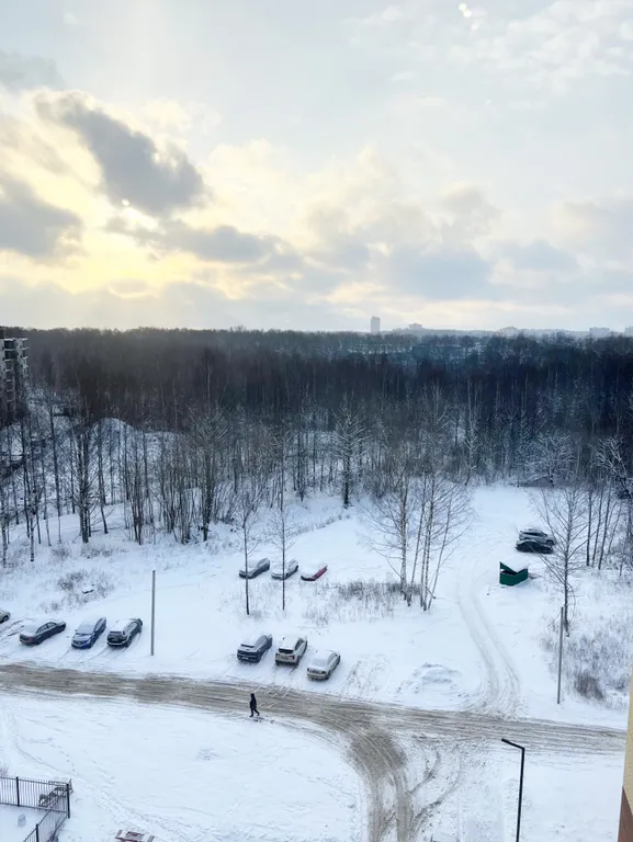 Квартира Квартира в ЖК комфорт-класса Сокол-сити — Ярославль