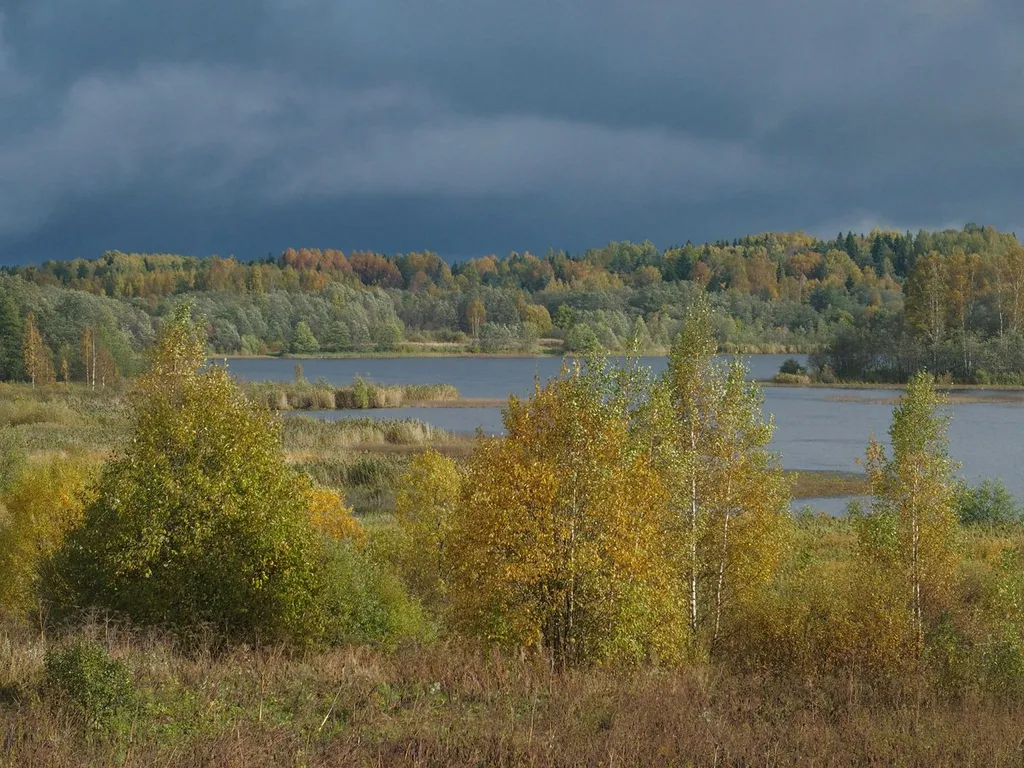Дом у озера Мстижа