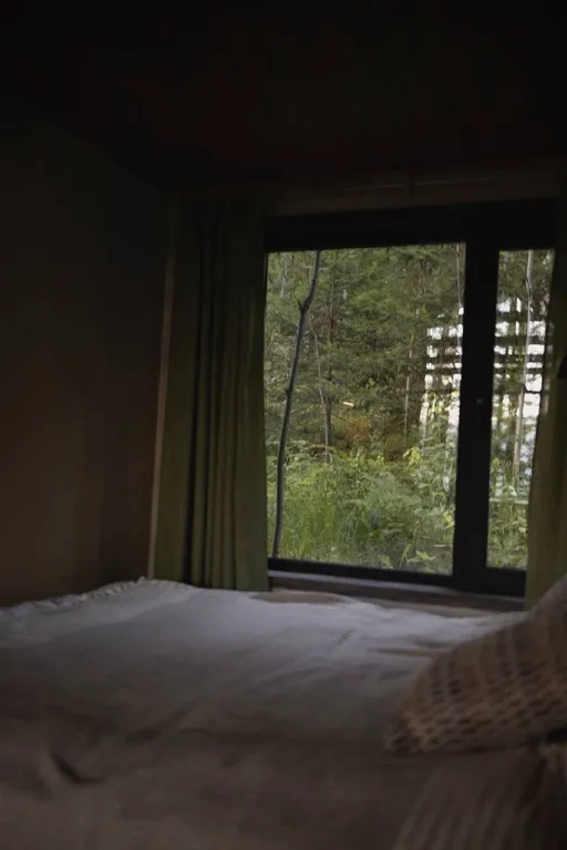 Зелёный дом