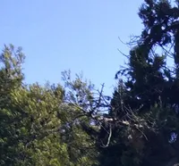 Ольга