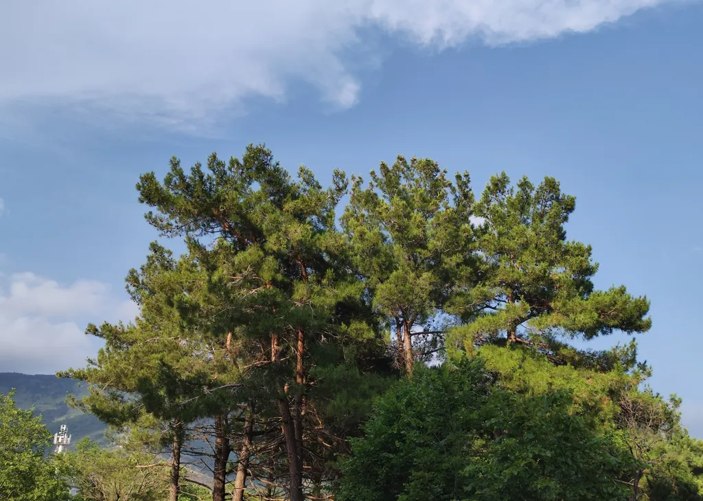 Квартира Квартира Твоё Море № 5 — Геленджик