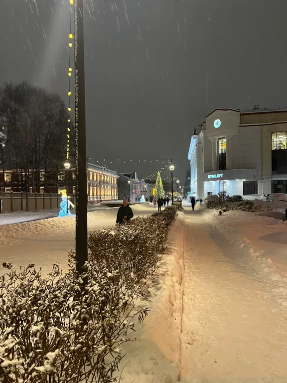 Улучшеные апартаменты баттерфляй с камином в центре