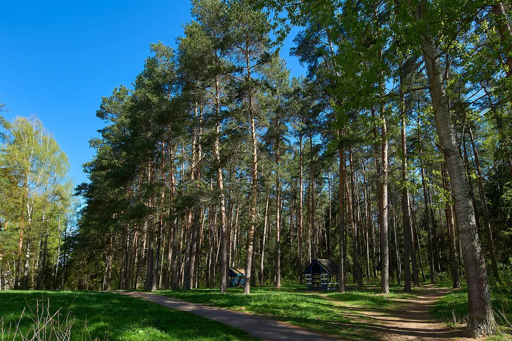 Бюджетный вариант для экономных гостей Минска