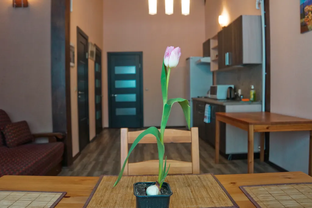 Трехкомнатный коттедж с верандой — аренда посуточно в Ярославль