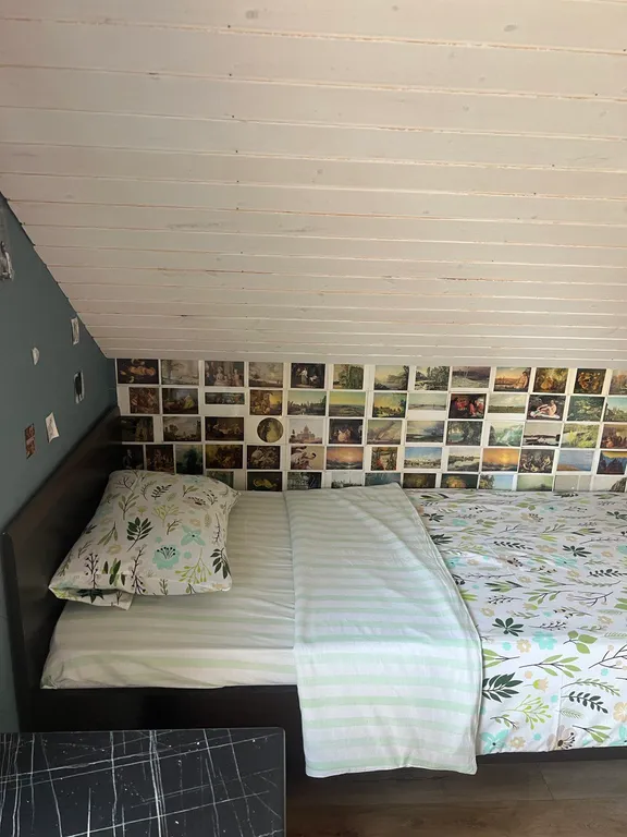 Дом с березовым лесом на участке