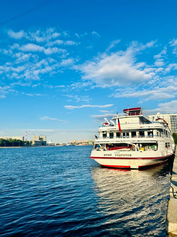 Квартира Квартира Уютная евро двухкомнатная на Неве рядом с разводным мостом и метро — Санкт-Петербург