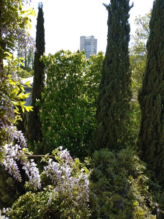 Уютная квартира в центре, близко к морю и рынку, без подъёма