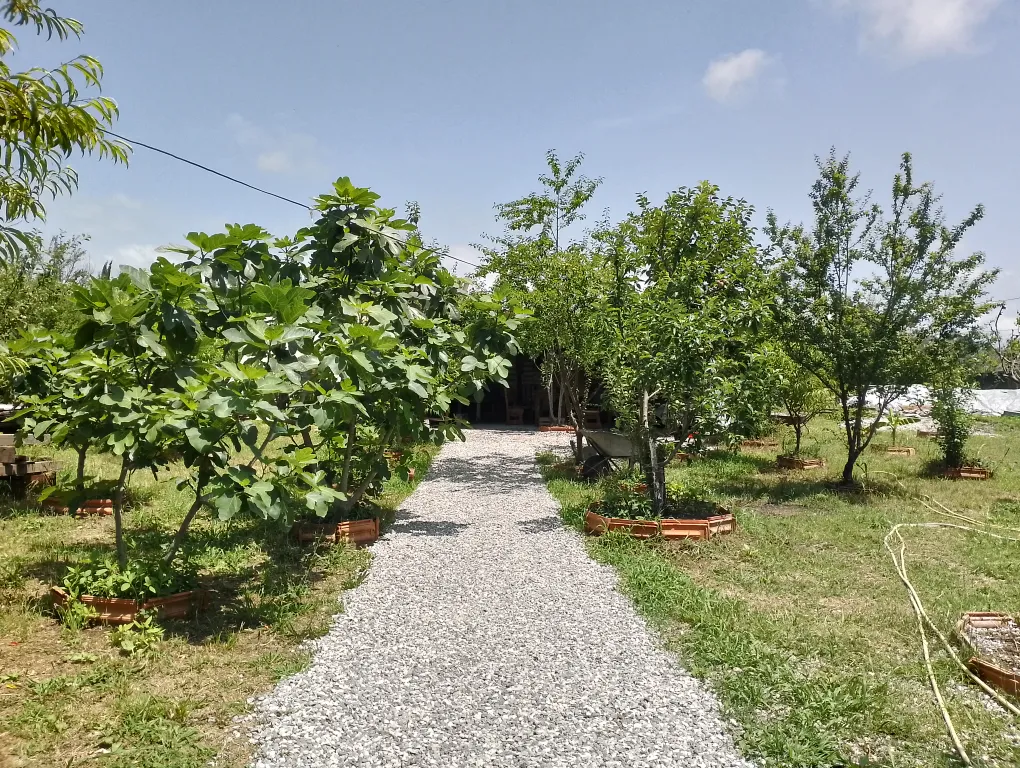 Квартира Комната — Сухум