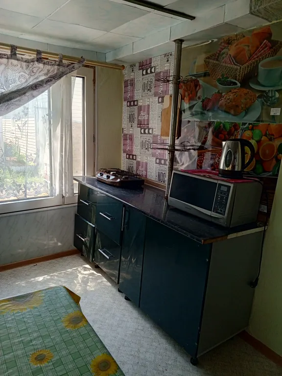 Коттедж 1-комнатный Дом — Камышеватская