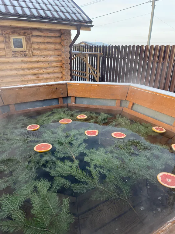 Дом-баня с бассейном и купелью