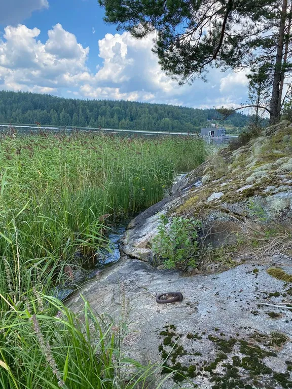 Уютный дом в уединенном месте в шхерах Ладоги
