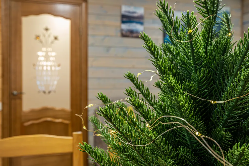 Коттедж Шале с видом на горы — Архыз