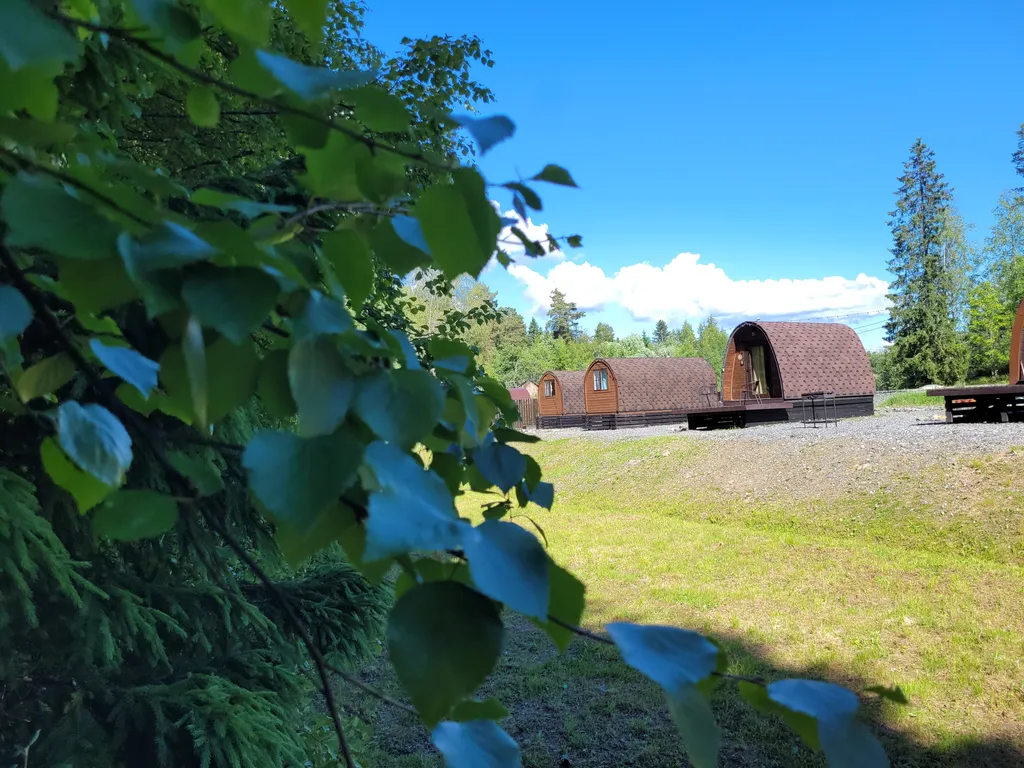 Арочный домик на краю леса без душа