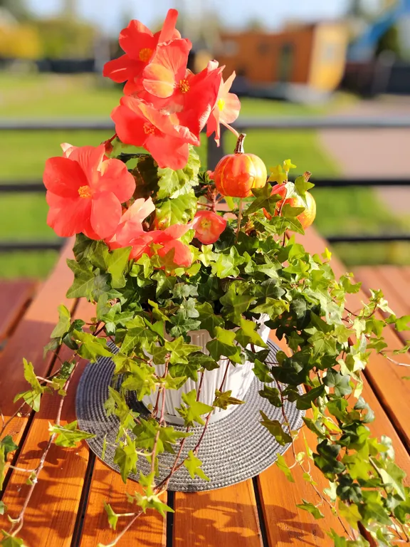 Коттедж Уютный новый дом напротив крепости Орешек — им. Морозова