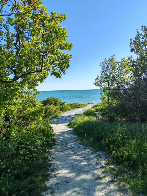 Море без мазута пешком одна минута