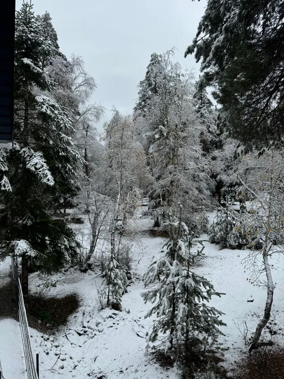 Гостевой дом Терраса