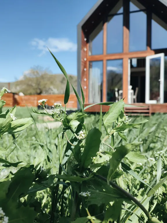 Коттедж Деревянный дом Прасковья — Прасковеевка