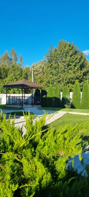 Дом с баней на дровах.