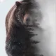 Федор
