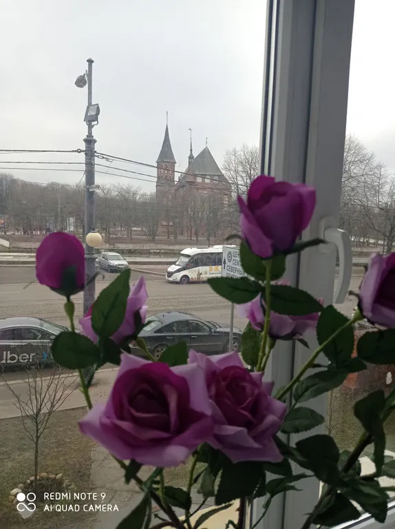 Апартаменты с видом на Кафедральный собор